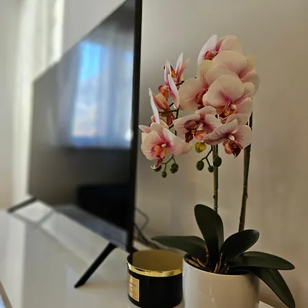 Marevic Appartement *